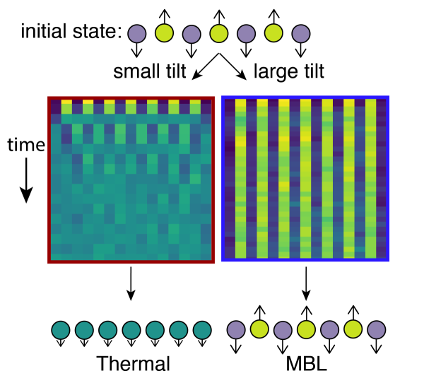 A graphic showing the difference between localized and thermal chains of ions