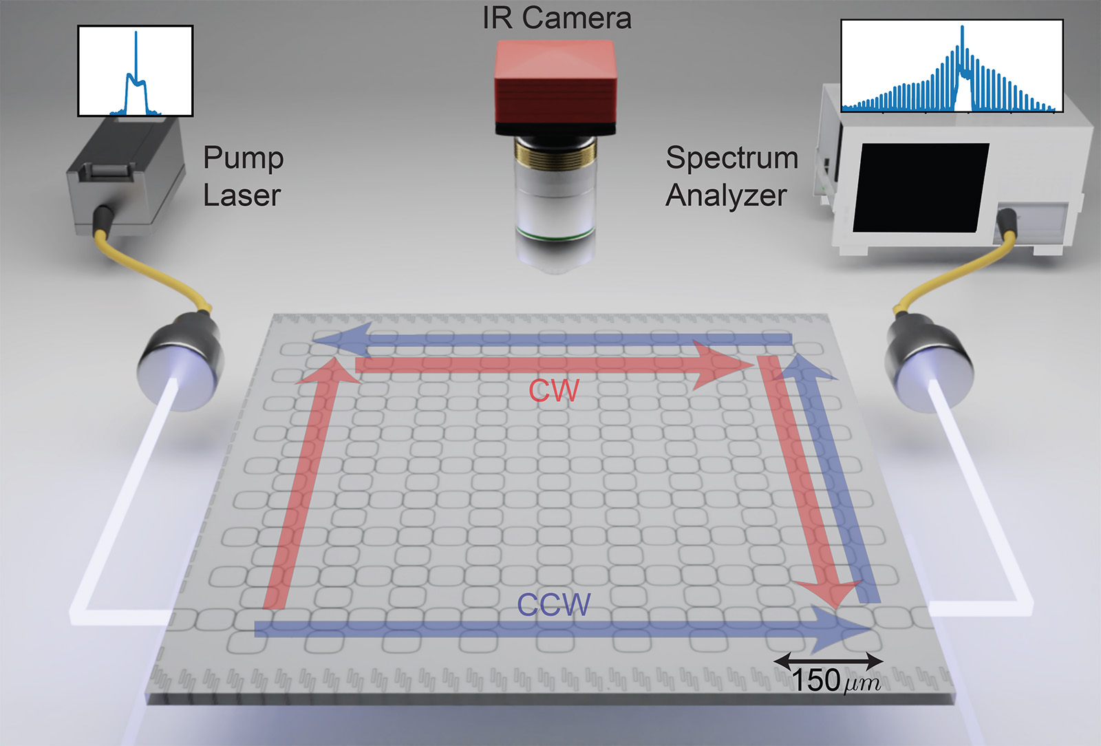 a schematic figure showing how a pump laser and a lattice of microscopic rings leads to an edge-constrained, circulating frequency comb